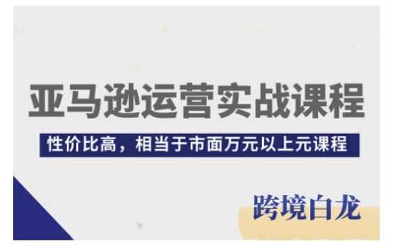 亚马逊运营实战课程，亚马逊从入门到精通，性价比高，相当于市面万元以上元课程-立业有术
