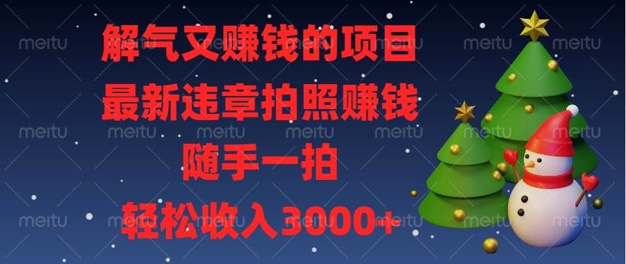 （13804期）解气又赚钱的项目，最新违章拍照赚钱，随手一拍，轻松收入3000+-立业有术