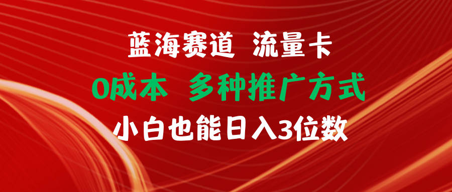 【站长实操】蓝海赛道 流量卡 0成本 小白也能日入三位数-立业有术