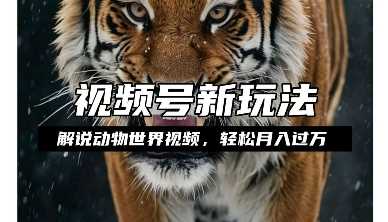 利用动物世界解说视频，赚分成计划收益，轻松月入过W，操作简单【揭秘】-立业有术