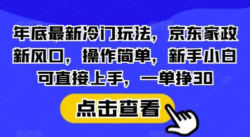 年底最新冷门玩法，京东家政新风口，操作简单，新手小白可直接上手，一单挣30【揭秘】-立业有术