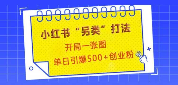 小红书“另类”打法，开局一张图，单日引爆500+精准创业粉【揭秘】-立业有术