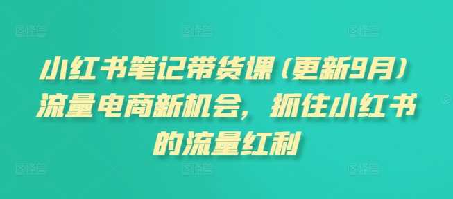 小红书笔记带货课(更新12月)流量电商新机会，抓住小红书的流量红利-立业有术