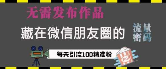藏在微信朋友圈的流量密码，无需发布作品，单日引流100+精准创业粉【揭秘】-立业有术