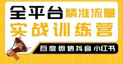 全平台精准流量实战训练营，百度微信抖音小红书SEO引流教程-立业有术