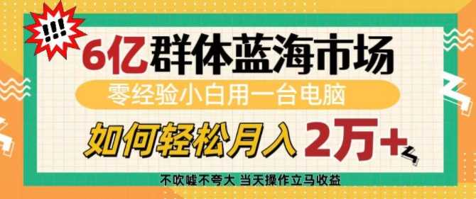 6亿群体蓝海市场，零经验小白用一台电脑，如何轻松月入过w【揭秘】-立业有术
