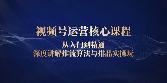 （13863期）视频号运营核心课程，从入门到精通，深度讲解推流算法与排品实操玩-立业有术