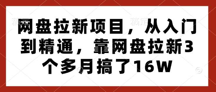 网盘拉新项目，从入门到精通，靠网盘拉新3个多月搞了16W-立业有术