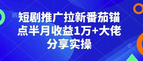 短剧推广拉新番茄锚点半月收益1万+大佬分享实操-立业有术