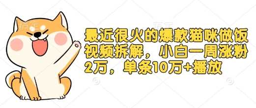 最近很火的爆款猫咪做饭视频拆解，小白一周涨粉2万，单条10万+播放(附保姆级教程)-立业有术