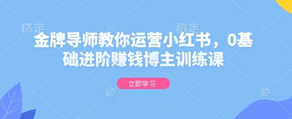 金牌导师教你运营小红书，0基础进阶赚钱博主训练课-立业有术