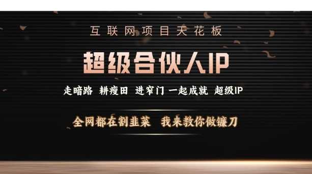 互联网项目天花板，超级合伙人IP，全网都在割韭菜，我来教你做镰刀【仅揭秘】-立业有术