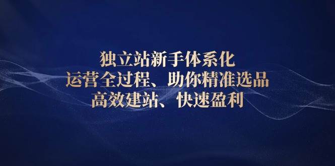 （13914期）独立站新手体系化 运营全过程，助你精准选品、高效建站、快速盈利-立业有术