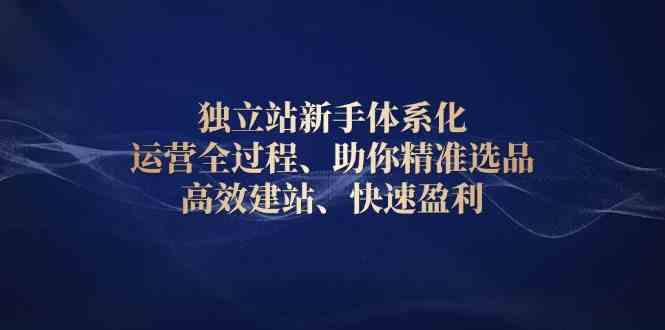 独立站新手体系化 运营全过程，助你精准选品、高效建站、快速盈利-立业有术