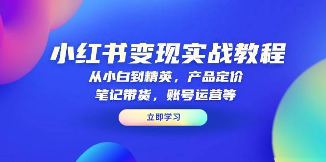 （13923期）小红书变现实战教程：从小白到精英，产品定价，笔记带货，账号运营等-立业有术