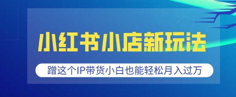 小红书小店新玩法，蹭这个IP带货，小白也能轻松月入过W【揭秘】-立业有术