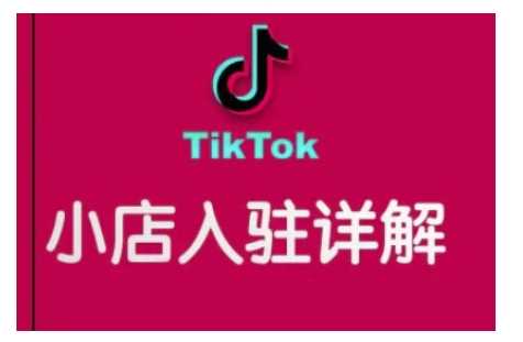 TikTok跨境小店运营全攻略，帮助你独立运营TK跨境小店的能力，实现销量增长-立业有术