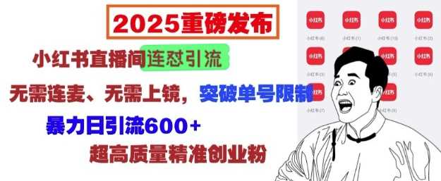 2025重磅发布：小红书直播间连怼引流，无需连麦、无需上镜，突破单号限制，暴力日引流600+-立业有术