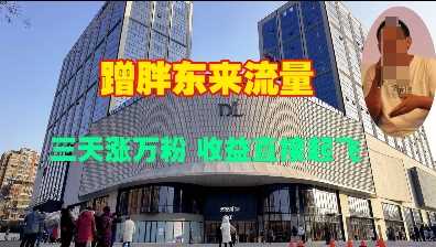 蹭胖东来流量，三天涨万粉，收益直接起飞-立业有术