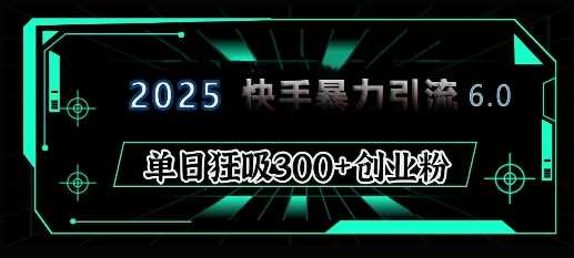 2025年快手6.0保姆级教程震撼来袭，单日狂吸300+精准创业粉-立业有术