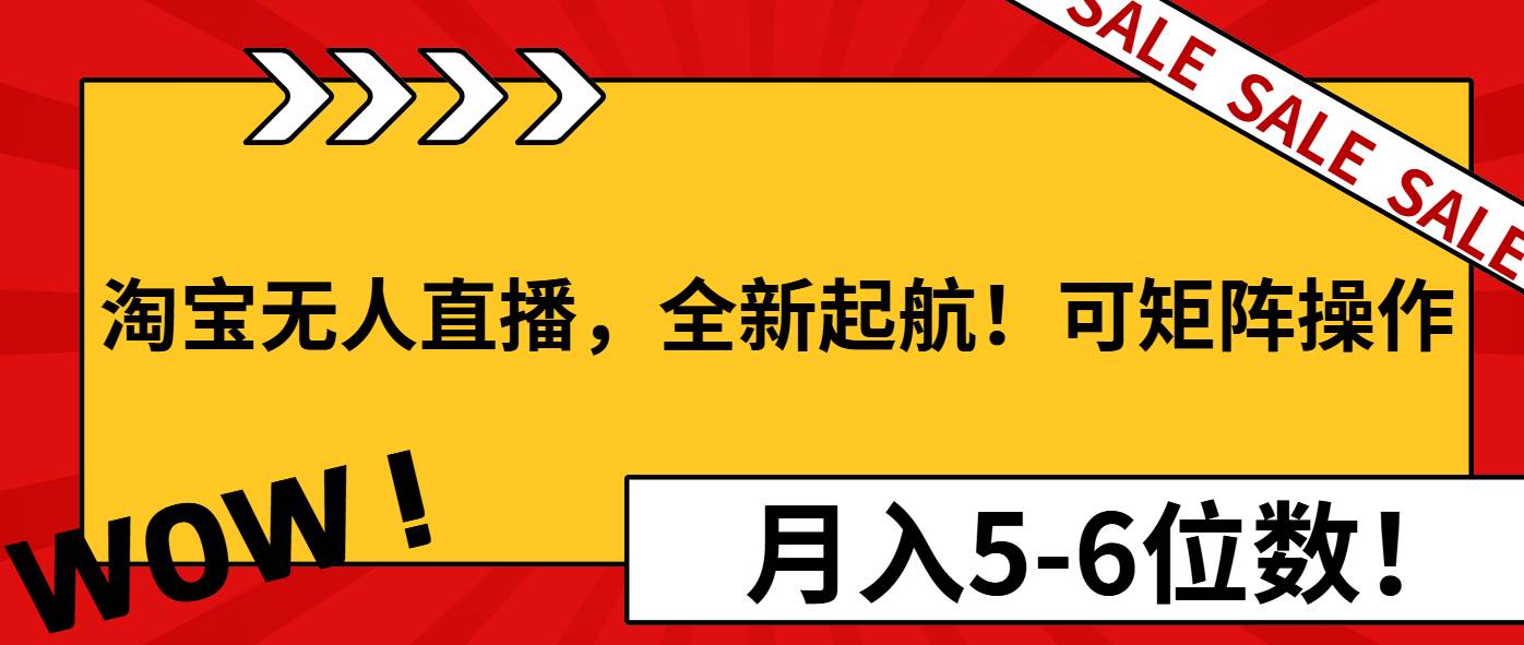 （13946期）淘宝无人直播，全新起航！可矩阵操作，月入5-6位数！-立业有术