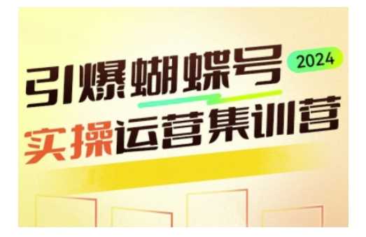 引爆蝴蝶号实操运营，助力你深度掌握蝴蝶号运营，实现高效实操，开启流量变现之路-立业有术