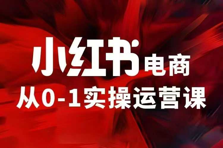 小红书电商运营，97节小红书vip内部课，带你实现小红书赚钱-立业有术