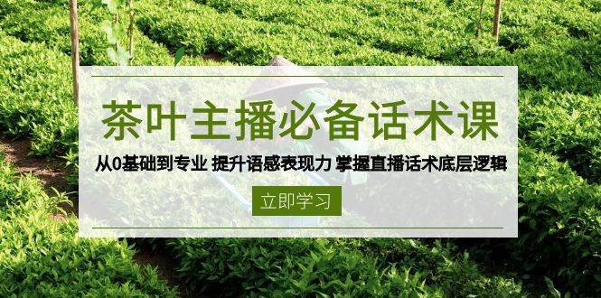 茶叶主播必备话术课 从0基础到专业 提升语感表现力 掌握直播话术底层逻辑-立业有术