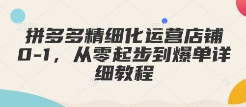 拼多多精细化运营店铺0-1，从零起步到爆单详细教程-立业有术