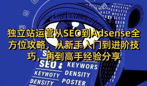 独立站运营从SEO到Adsense全方位攻略，从新手入门到进阶技巧，再到高手经验分享-立业有术