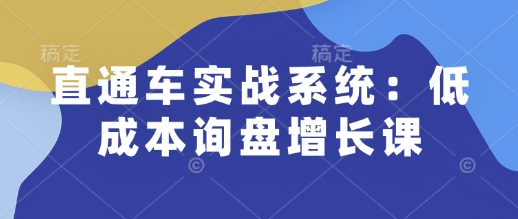 直通车实战系统：低成本询盘增长课，让个人通过技能实现升职加薪，让企业低成本获客，订单源源不断-立业有术