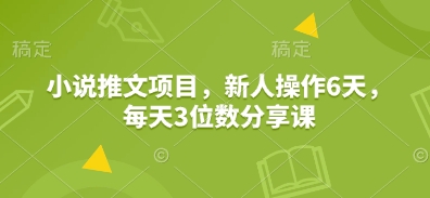 小说推文项目，新人操作6天，每天3位数分享课-立业有术