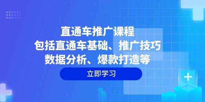 （14001期）直通车推广课程：包括直通车基础、推广技巧、数据分析、爆款打造等-立业有术