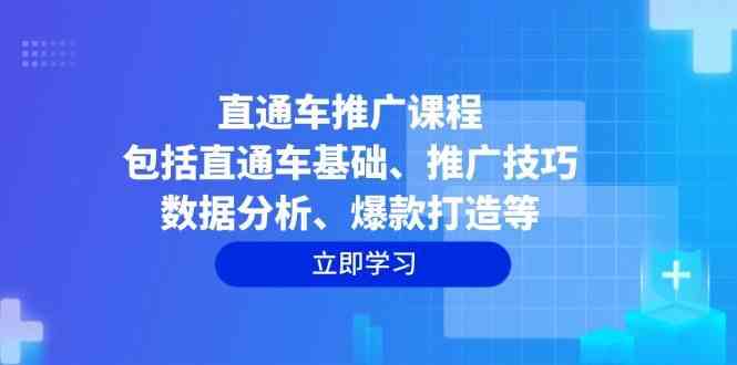 直通车推广课程：包括直通车基础、推广技巧、数据分析、爆款打造等-立业有术