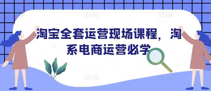 淘宝全套运营现场课程，淘系电商运营必学-立业有术