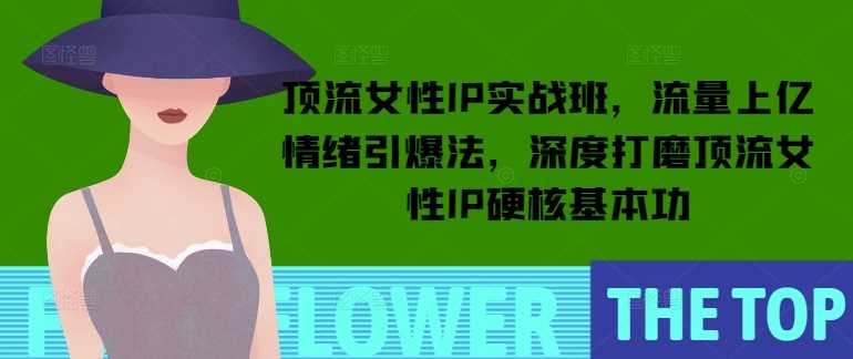 顶流女性IP实战班，流量上亿情绪引爆法，深度打磨顶流女性IP硬核基本功-立业有术