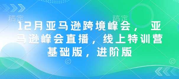 12月亚马逊跨境峰会， 亚马逊峰会直播，线上特训营基础版，进阶版-立业有术