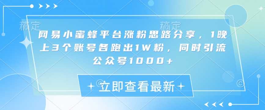 网易小蜜蜂平台涨粉思路分享，1晚上3个账号各跑出1W粉，同时引流公众号1000+-立业有术
