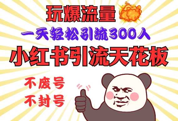 小红书引流天花板，玩爆流量，一天轻松引流300人，安全操作-立业有术