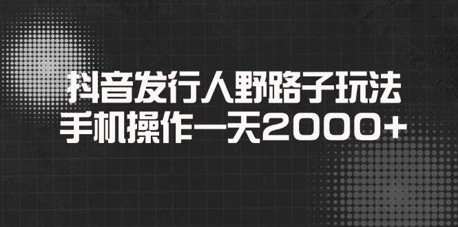 （14068期）抖音发行人野路子玩法，手机操作一天2000+-立业有术