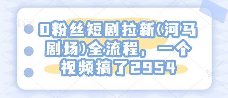 0粉丝短剧拉新(河马剧场)全流程，一个视频搞了2954-立业有术