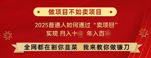 必看，做项目不如卖项目，2025普通人如何通过“卖项目”实现月入十个，年入百个-立业有术