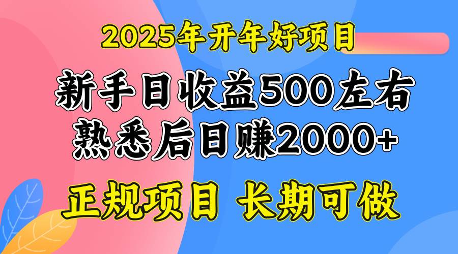 （14076期）2025开年好项目，单号日收益2000左右-立业有术