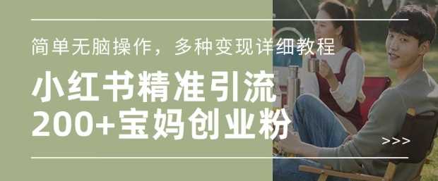 小红书混剪日引200+宝妈创业粉，简单无脑操作，多种变现详细教程-立业有术