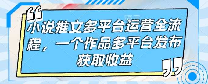 小说推文多平台运营全流程，一个作品多平台发布获取收益-立业有术