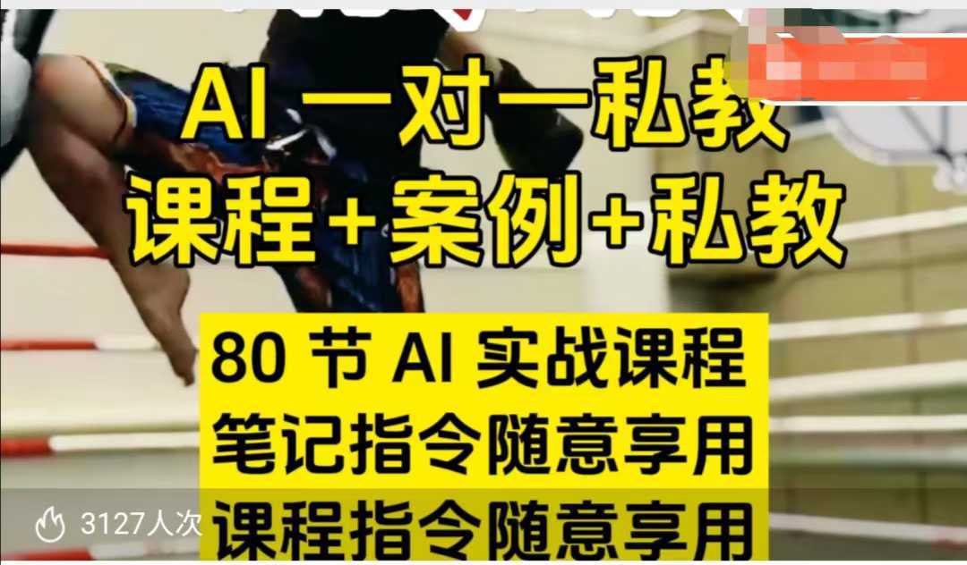 AI指令实战课，课程+案例，80节AI实战课程，笔记指令随意享用，课程指令随意享用-立业有术