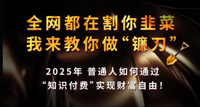 全网都在割你韭菜，我来教你做镰刀，2025年普通人如何通过 知识付费 实现财F自由【揭秘】-立业有术