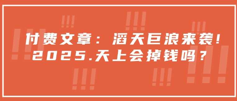 付费文章：滔天巨浪来袭！2025天上会掉钱吗？-立业有术