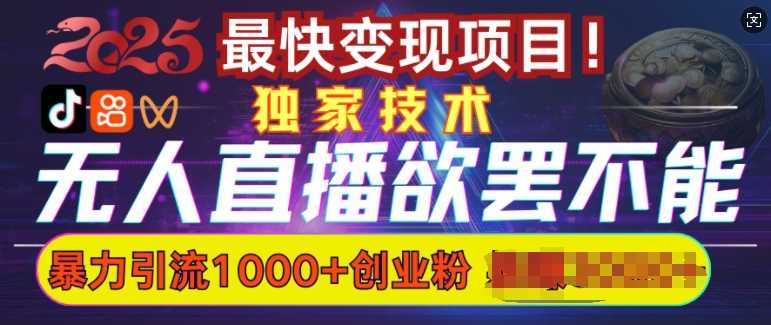 欲罢不能的无人直播引流，超暴力日引流1000+高质量精准创业粉-立业有术