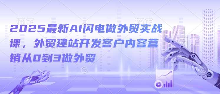 2025最新AI闪电做外贸实战课，外贸建站开发客户内容营销从0到3做外贸-立业有术